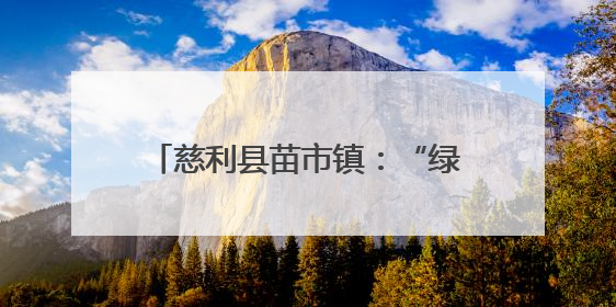 慈利县苗市镇：“绿茵小将”逐梦赛场