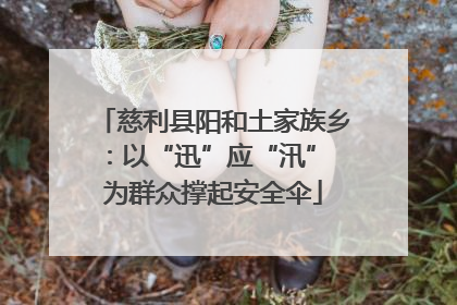 慈利县阳和土家族乡：以“迅”应“汛” 为群众撑起安全伞