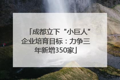 成都立下“小巨人”企业培育目标：力争三年新增350家