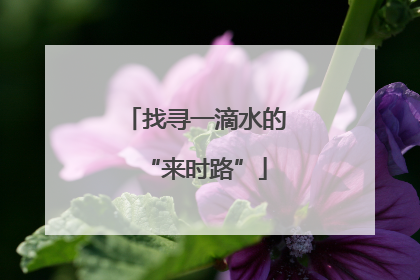找寻一滴水的“来时路”