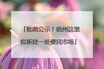 批前公示！德州这里拟新建一处便民市场