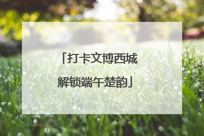 打卡文博西城 解锁端午楚韵