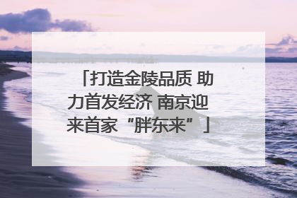 打造金陵品质 助力首发经济 南京迎来首家“胖东来”