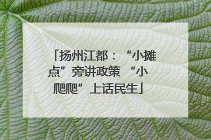 扬州江都：“小摊点”旁讲政策 “小爬爬”上话民生