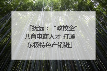 抚远：“政校企”共育电商人才 打通东极特色产销链