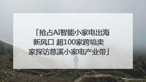 抢占AI智能小家电出海新风口 超100家跨境卖家探访慈溪小家电产业带