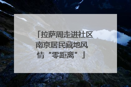 拉萨周走进社区 南京居民藏地风情“零距离”