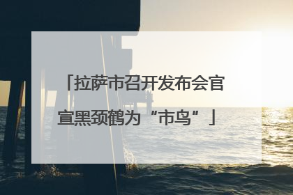 拉萨市召开发布会官宣黑颈鹤为“市鸟”
