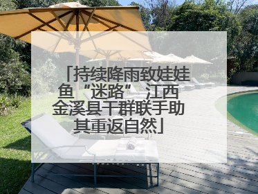 持续降雨致娃娃鱼“迷路” 江西金溪县干群联手助其重返自然