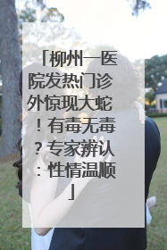 柳州一医院发热门诊外惊现大蛇！有毒无毒？专家辨认：性情温顺