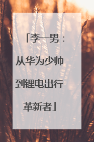 李一男：从华为少帅到锂电出行革新者