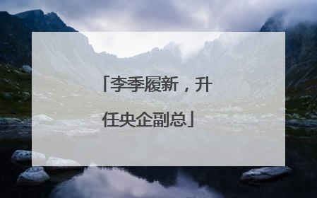 李季履新，升任央企副总