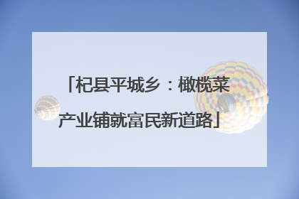 杞县平城乡：橄榄菜产业铺就富民新道路