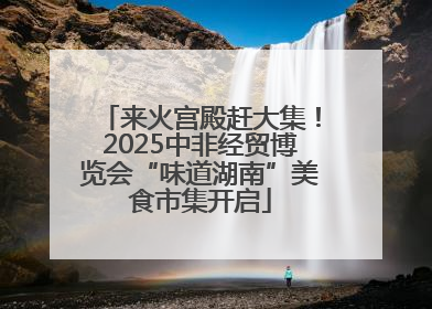 来火宫殿赶大集！2025中非经贸博览会“味道湖南”美食市集开启