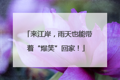 来江岸，雨天也能带着“爆笑”回家！
