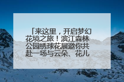 来这里，开启梦幻花境之旅！滨江森林公园绣球花展邀你共赴一场与云朵、花儿的浪漫之约