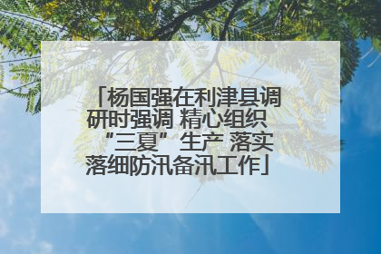 杨国强在利津县调研时强调 精心组织“三夏”生产 落实落细防汛备汛工作