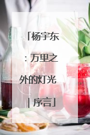 杨宇东：万里之外的灯光｜序言