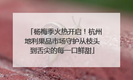杨梅季火热开启！杭州地利果品市场守护从枝头到舌尖的每一口鲜甜