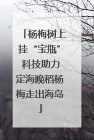 杨梅树上挂“宝瓶” 科技助力定海晚稻杨梅走出海岛