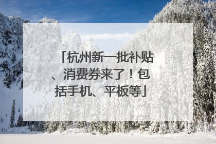 杭州新一批补贴、消费券来了！包括手机、平板等