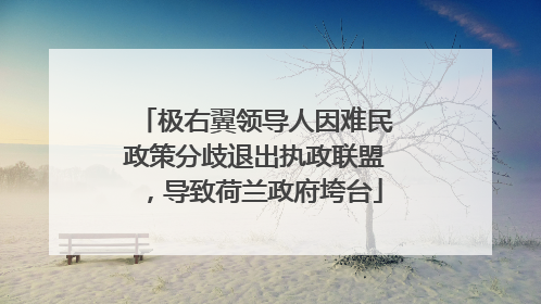 极右翼领导人因难民政策分歧退出执政联盟，导致荷兰政府垮台