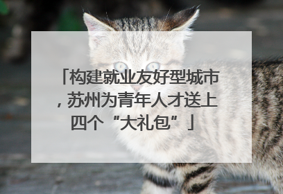 构建就业友好型城市，苏州为青年人才送上四个“大礼包”