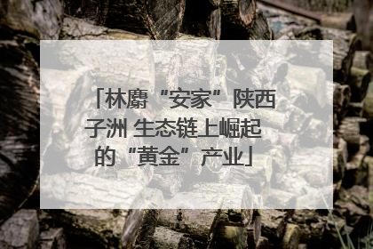 林麝“安家”陕西子洲 生态链上崛起的“黄金”产业