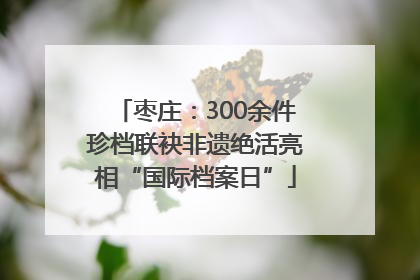 枣庄：300余件珍档联袂非遗绝活亮相“国际档案日”