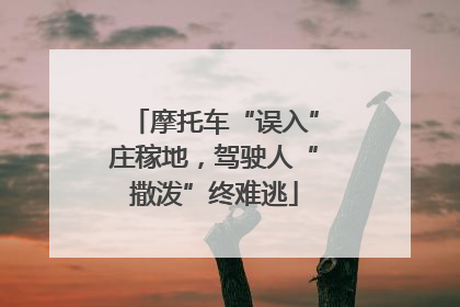 摩托车“误入”庄稼地，驾驶人“撒泼”终难逃