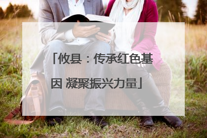 攸县：传承红色基因 凝聚振兴力量