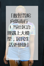数智普陀 向新而行〡当社区治理遇上大模型，居民生活更便捷