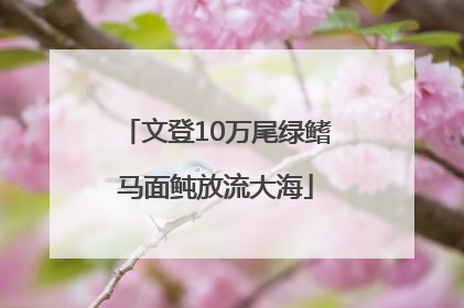文登10万尾绿鳍马面鲀放流大海