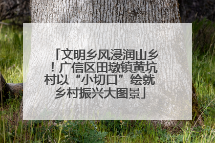 文明乡风浸润山乡！广信区田墩镇黄坑村以“小切口”绘就乡村振兴大图景
