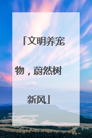 文明养宠物，蔚然树新风