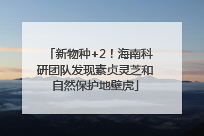 新物种+2！海南科研团队发现素贞灵芝和自然保护地壁虎