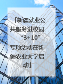 新疆就业公共服务进校园“3+10”专项活动在新疆农业大学启动
