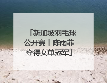 新加坡羽毛球公开赛丨陈雨菲夺得女单冠军