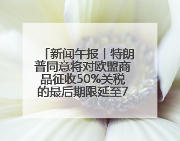 新闻午报丨特朗普同意将对欧盟商品征收50%关税的最后期限延至7月9日；00后舞蹈老师“花式”推介家乡岳阳>>