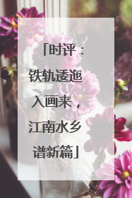 时评：铁轨逶迤入画来，江南水乡谱新篇