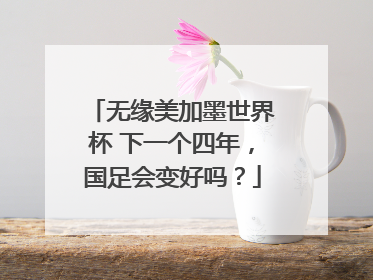 无缘美加墨世界杯 下一个四年，国足会变好吗？