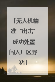 无人机精准“出击” 成功处置闯入厂区野猪