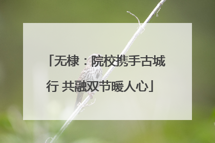 无棣：院校携手古城行 共融双节暖人心