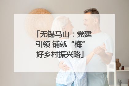 无锡马山：党建引领 铺就“梅”好乡村振兴路