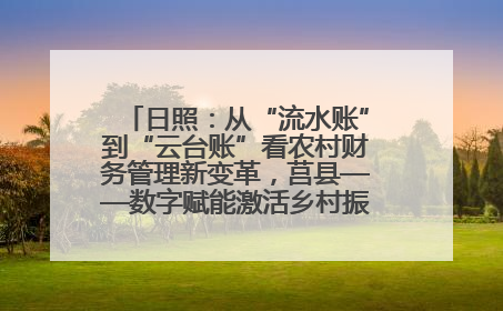 日照：从“流水账”到“云台账”看农村财务管理新变革，莒县——数字赋能激活乡村振兴“一池春水”