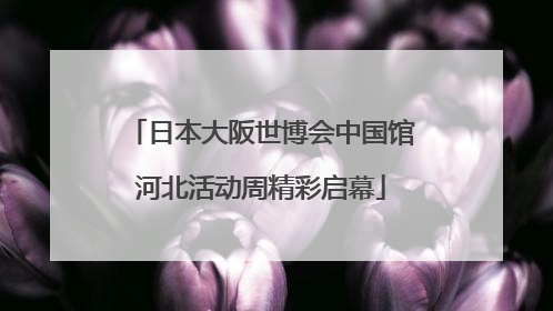 日本大阪世博会中国馆河北活动周精彩启幕