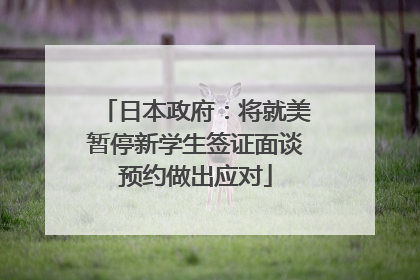 日本政府：将就美暂停新学生签证面谈预约做出应对
