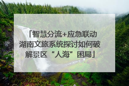 智慧分流+应急联动 湖南文旅系统探讨如何破解景区“人海”困局