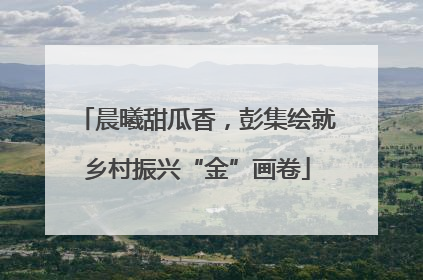 晨曦甜瓜香，彭集绘就乡村振兴“金”画卷