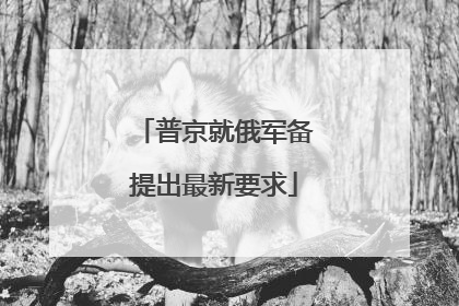 普京就俄军备提出最新要求
